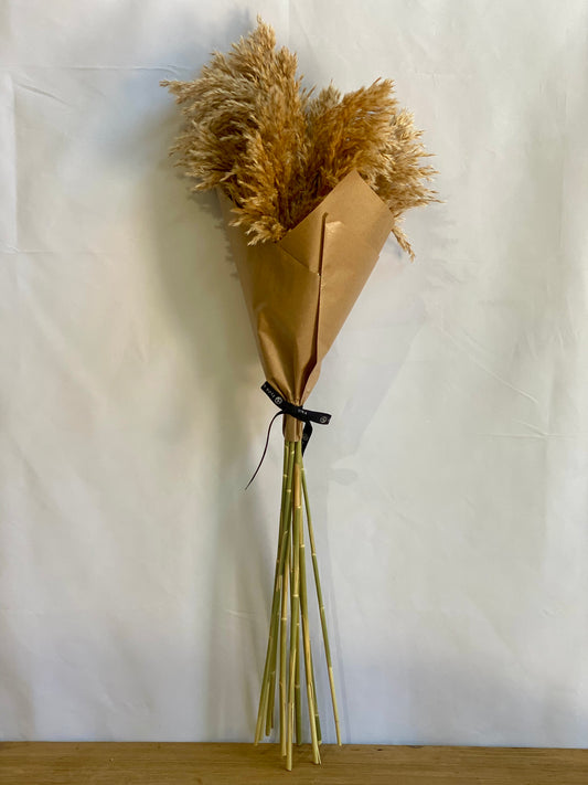 CORTEDERÍA NATURAL (Plumero)