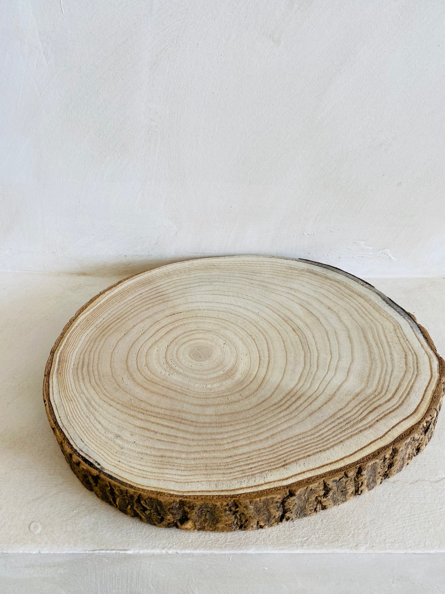 Rodaja PAULOWNIA