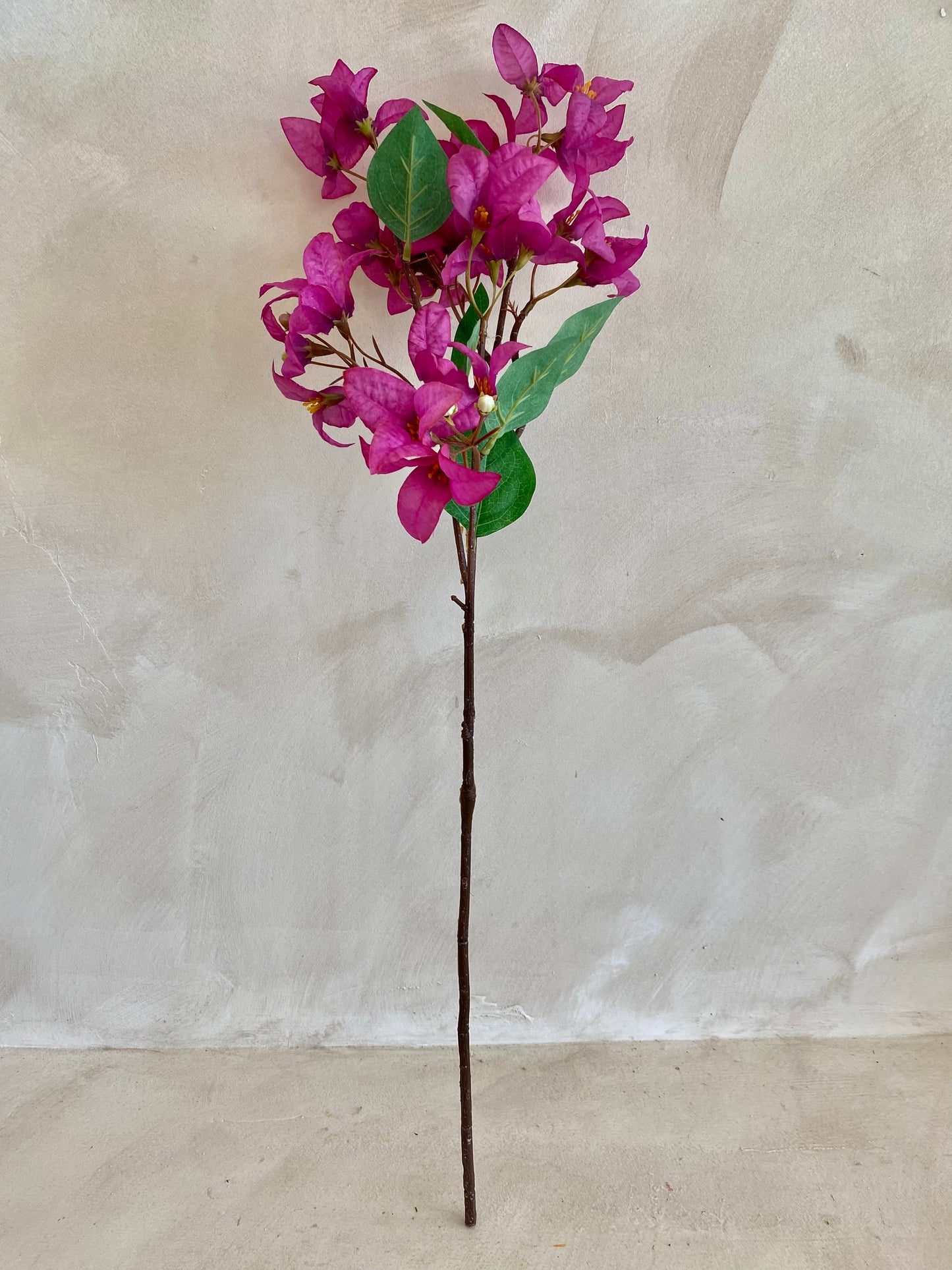 BUGANVILLA FUCSIA