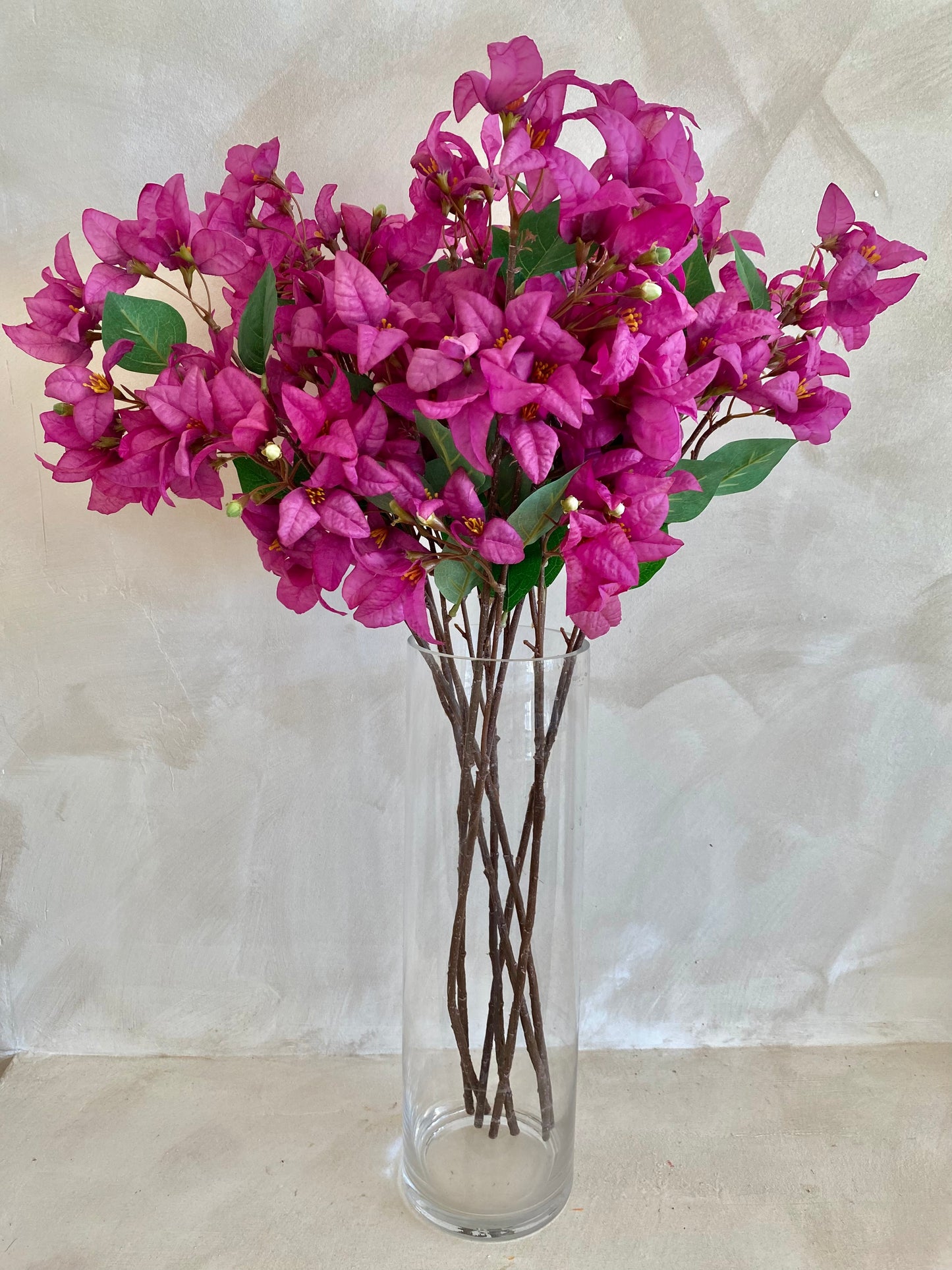BUGANVILLA FUCSIA