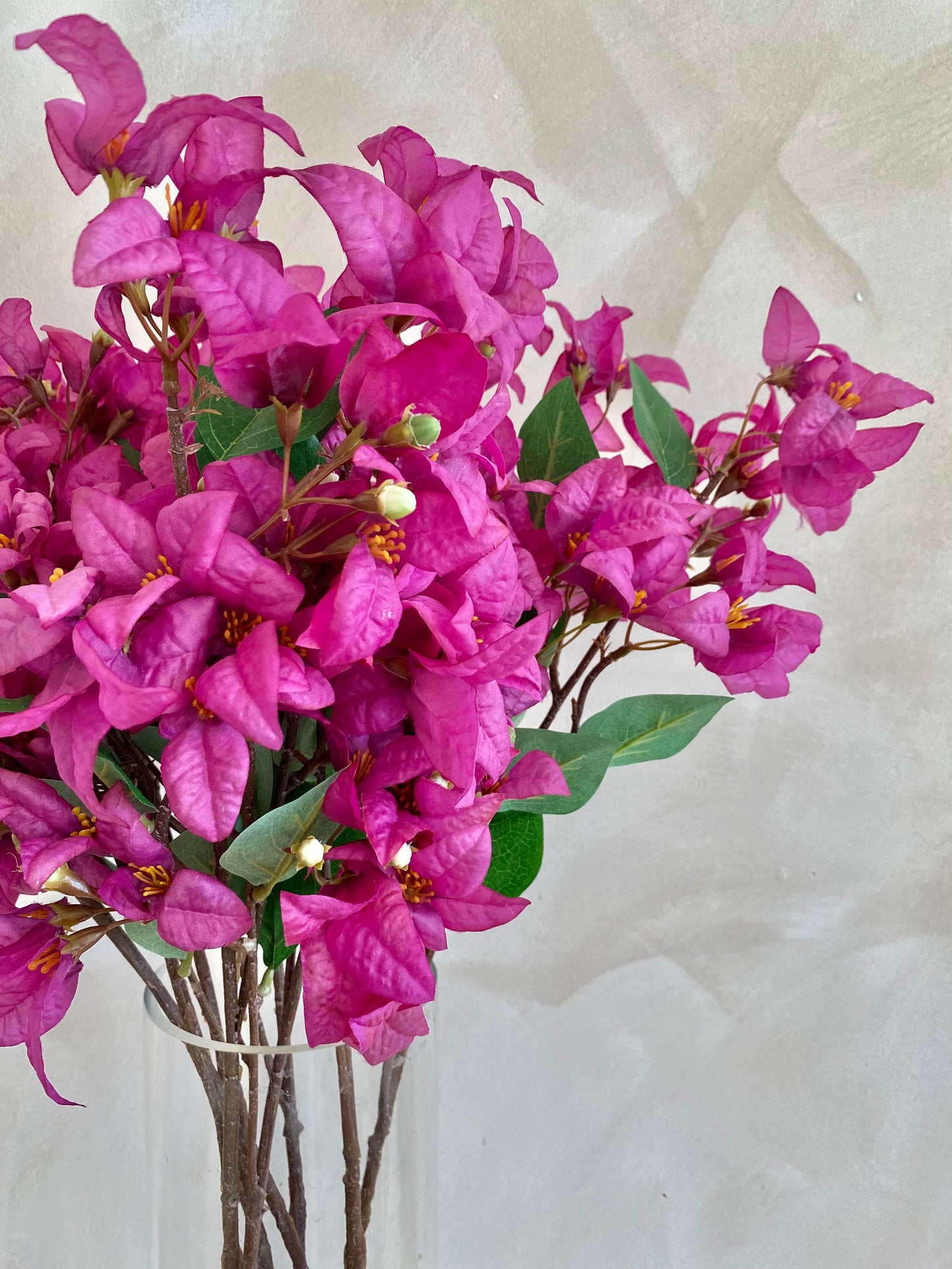 BUGANVILLA FUCSIA