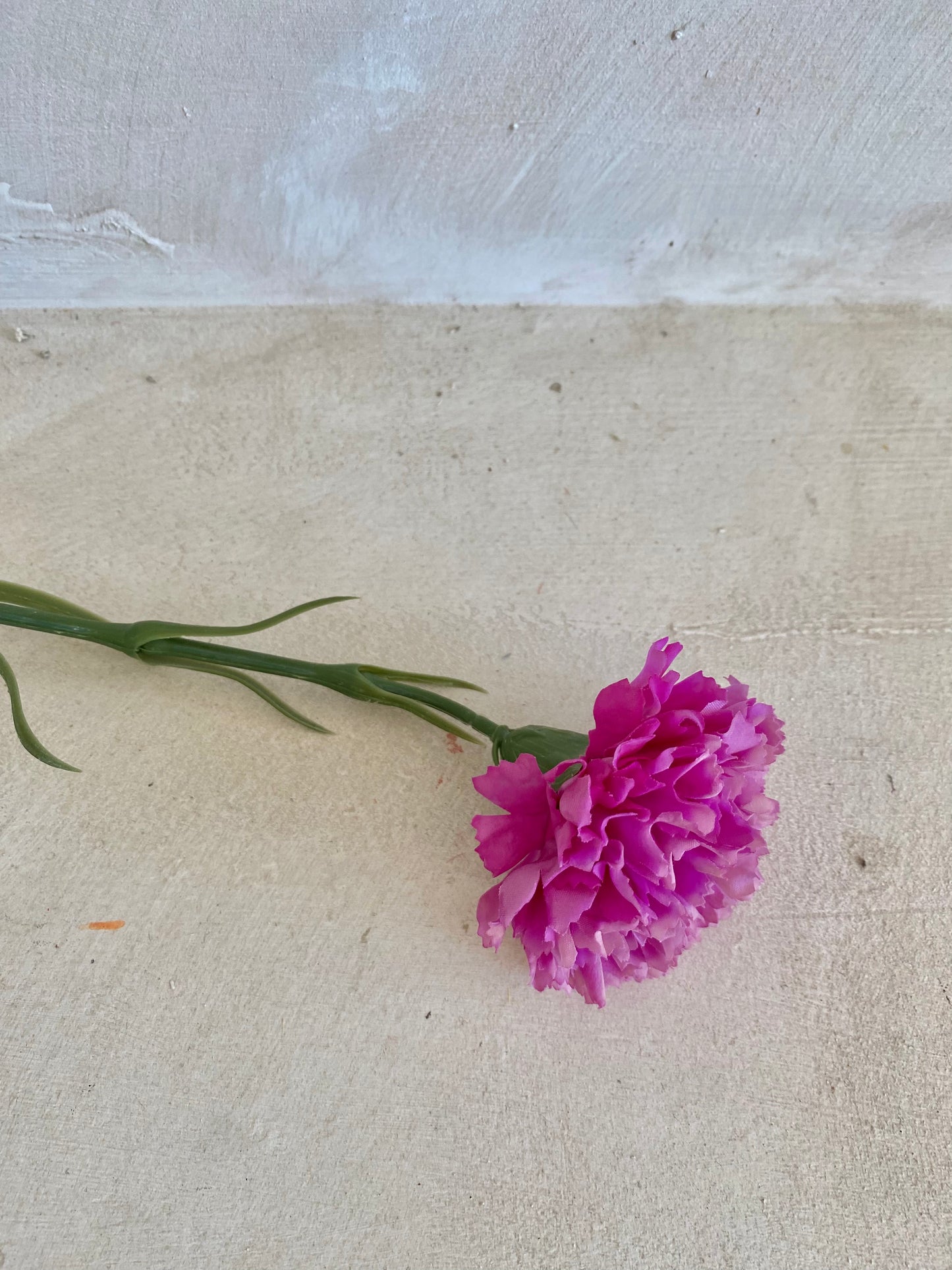 CLAVEL BUGANVILLA
