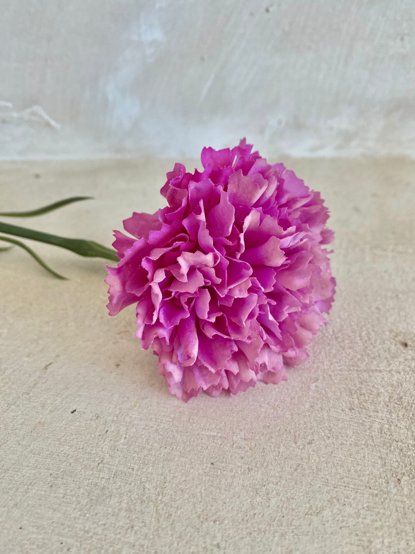 CLAVEL BUGANVILLA