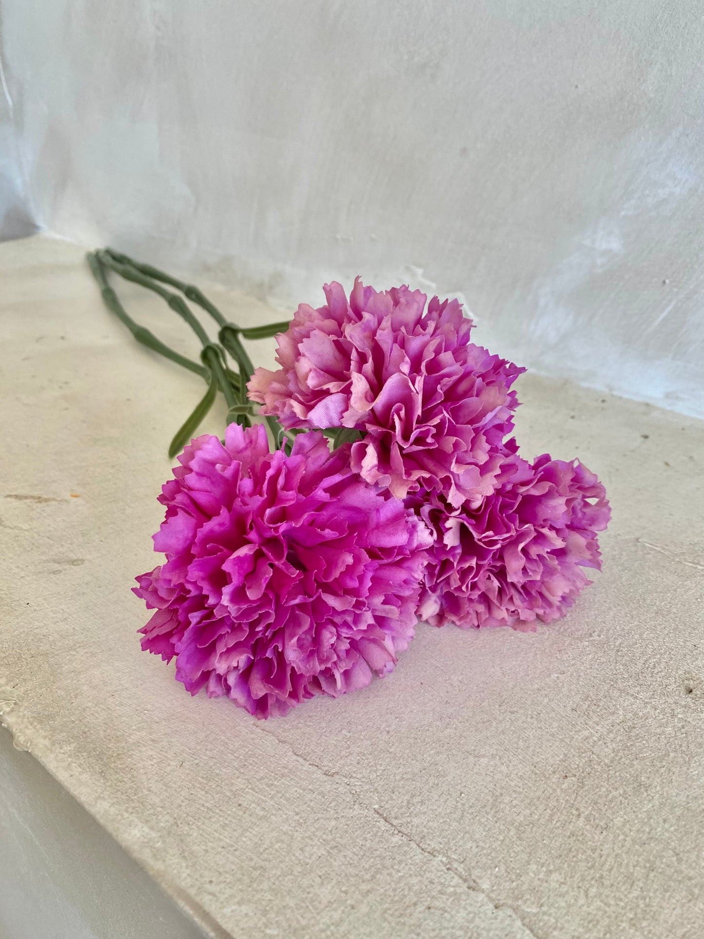 CLAVEL BUGANVILLA