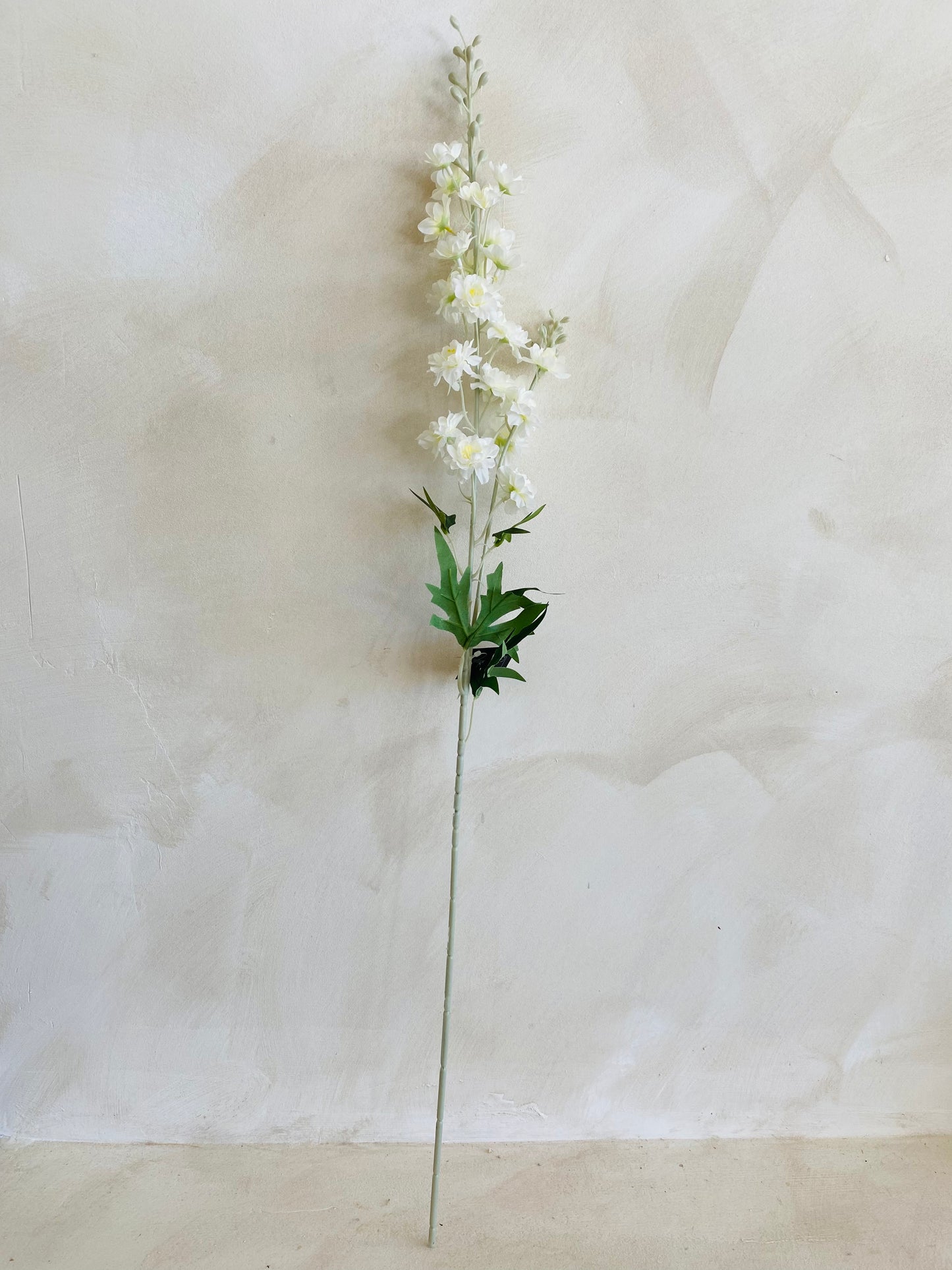 DELPHINIUM BLANCO