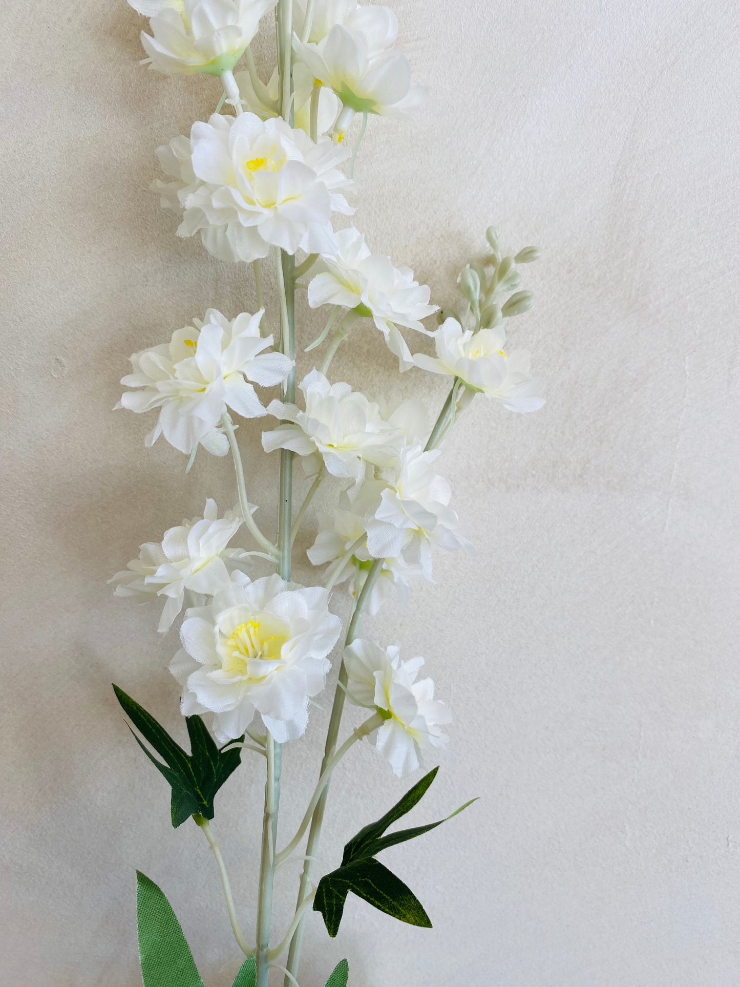 DELPHINIUM BLANCO