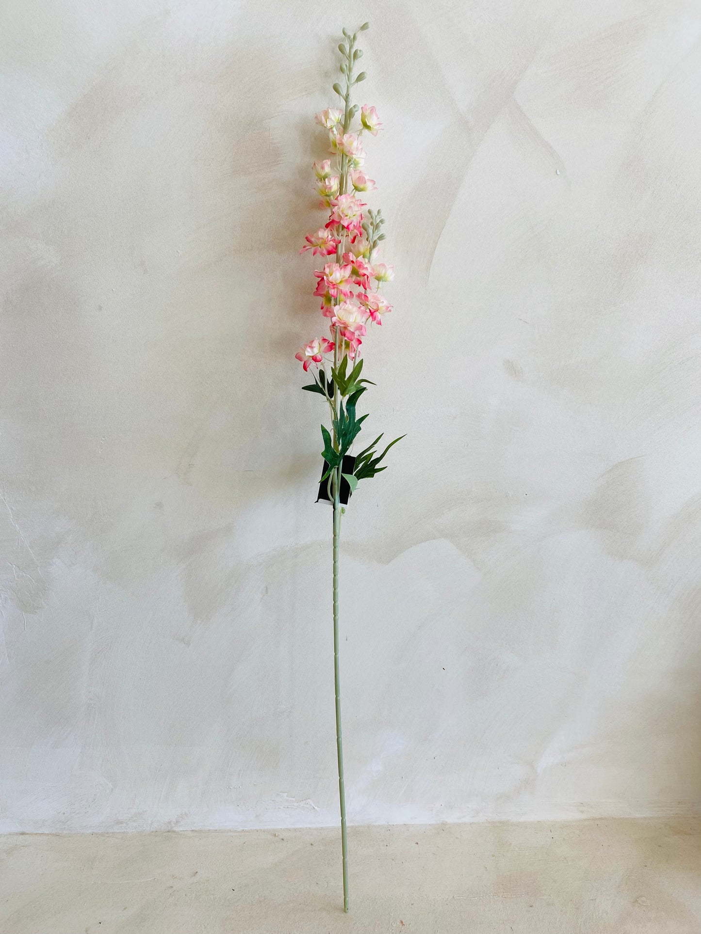 DELPHINIUM BLANCO-ROSA