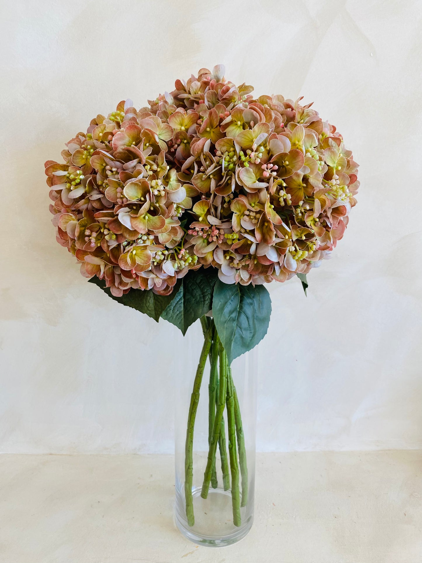 HORTENSIA NATURE