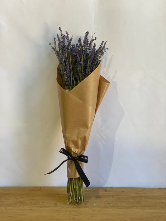 LAVANDA
