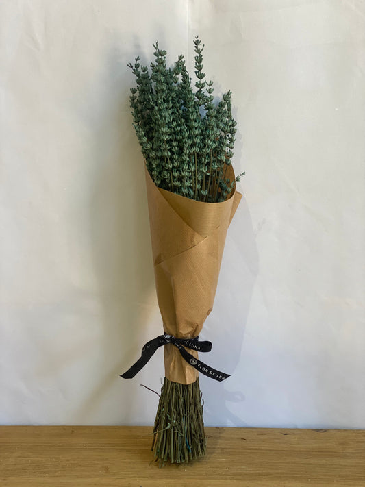 LAVANDA