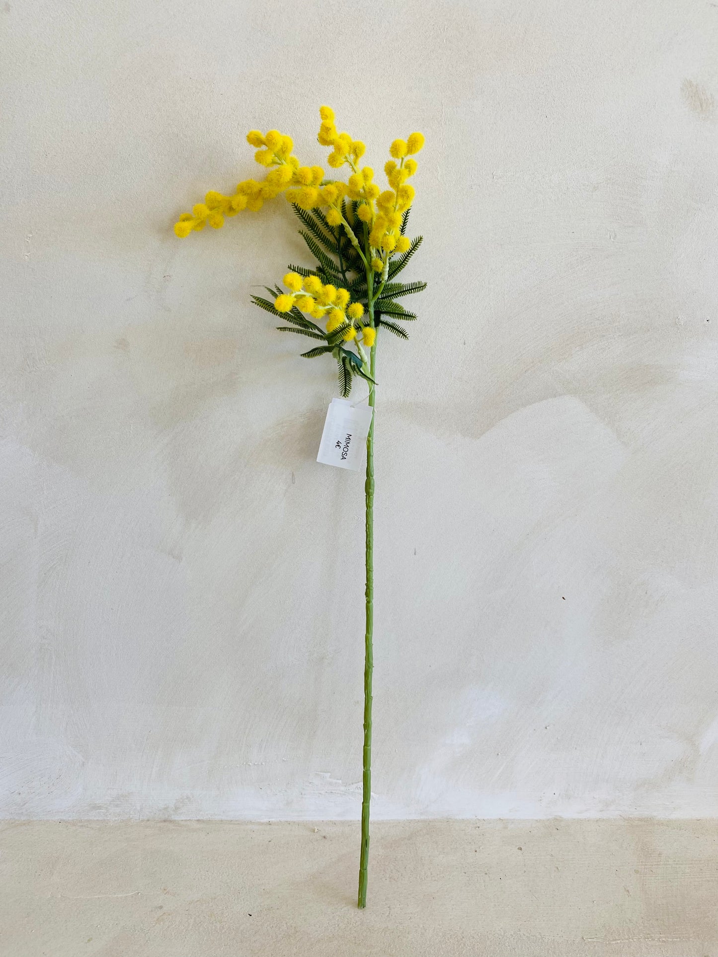 MIMOSA