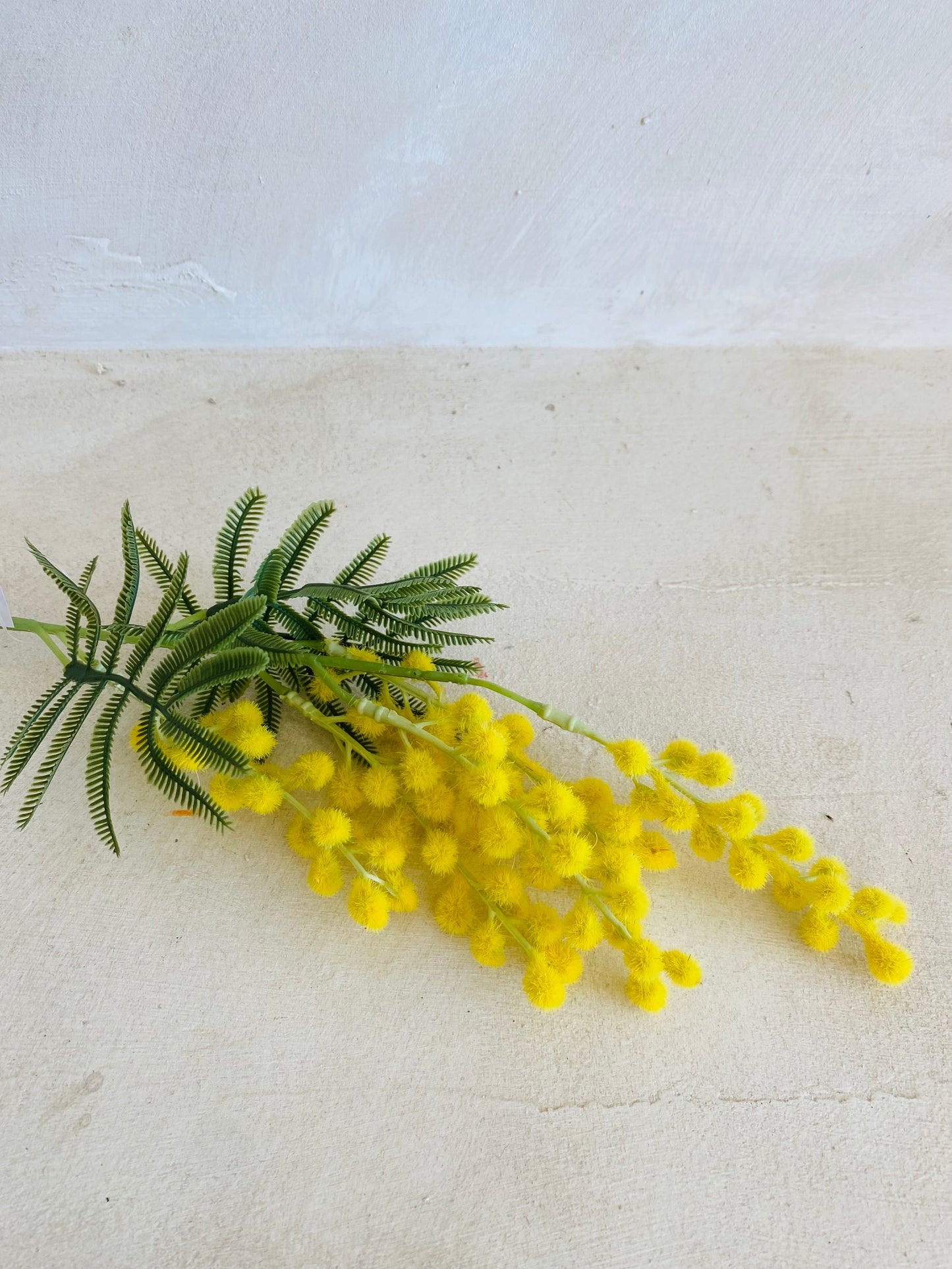 MIMOSA
