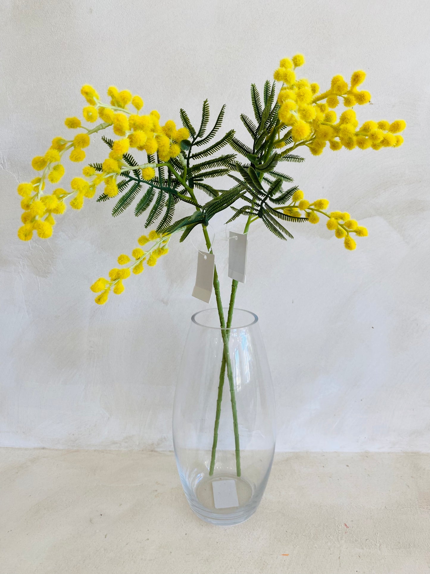 MIMOSA