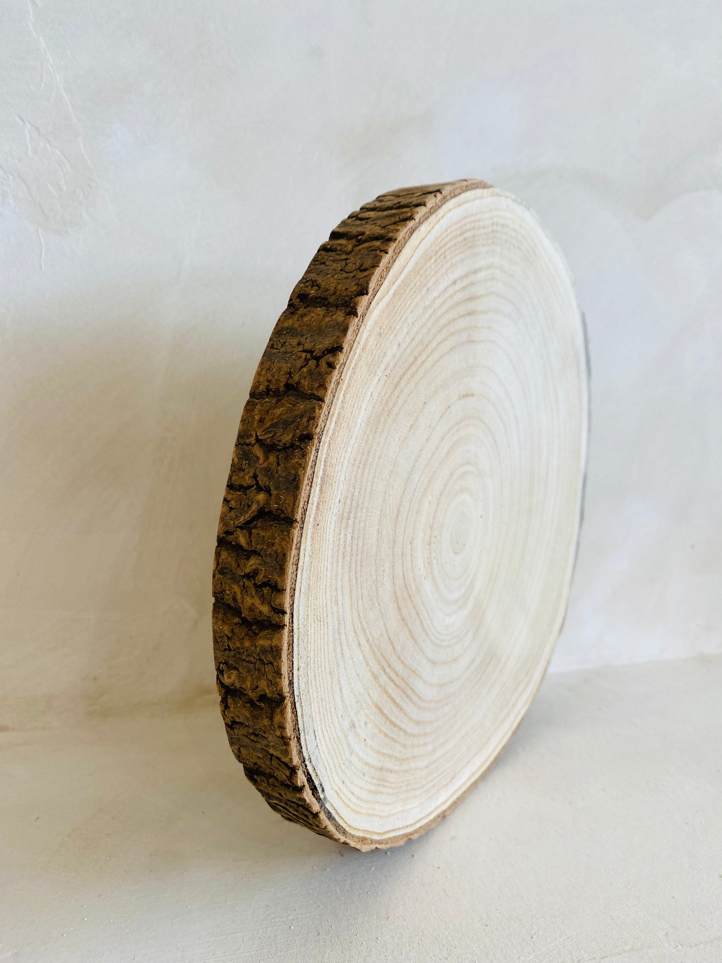 Rodaja PAULOWNIA