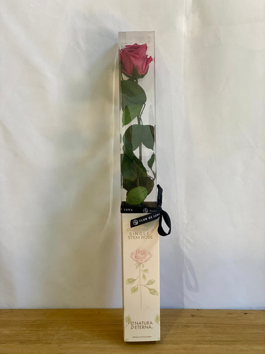 ROSA ETERNA